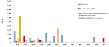 FY 2025 Debt profile FY 2025 Debt profile