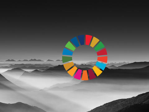 SoDeGo1 banner SoDeGo1 banner